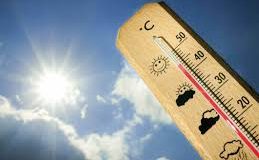 ¡Tiempo re loco..!! Para el viernes pronostican temperaturas de hasta 29º en Entre Ríos, Para mañana lluvias