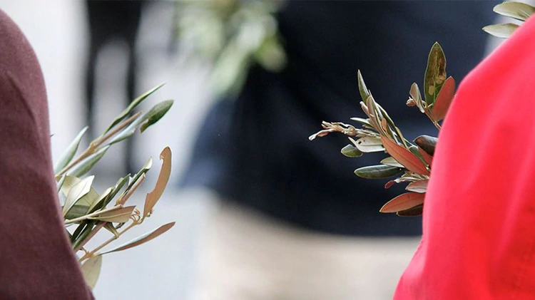 Por qué se celebra el Domingo de Ramos y qué significa la bendición del olivo