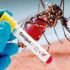 En nueve manzanas centricas hay «bloqueo sanitario» por el dengue