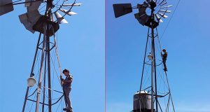 Zona rural de Villaguay: con ansias de superación alumno sube al molino para tener señal
