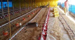 Productores valoraron el impacto positivo de la quita de retenciones a las economías regionales en Entre Ríos