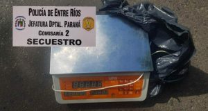Son pícaros y audaces. Pero inteligencia cero (menos mal). ¡No podes andar varias cuadras con lo robado al hombro..!!
