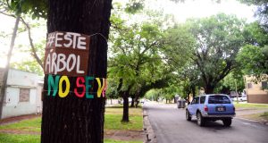 Este martes a las 4 de la tarde caravana en contra de la tala. Se reinician las obras en calle Racedo