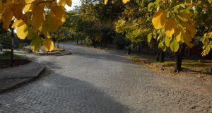 El otoño empezó, se esperan lluvias y hasta 31º de temperatura para las próximas jornadas