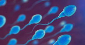La caída del número de espermatozoides y la reducción de los penes, las sustancias químicas tóxicas, harían que en 2045 no haya mas bebes