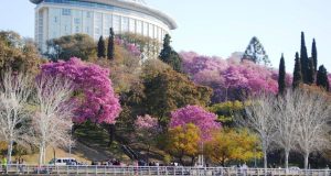 El fin de semana del Día de la Madre está con buen clima y agradable, y así seguirá