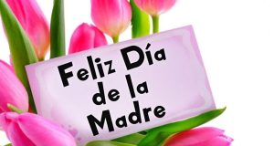 La vida no viene con un manual de instrucciones, viene con una madre.