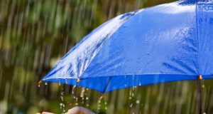 La lluvia llegaría este martes en la tarde-noche en Entre Ríos