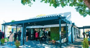 Rosa y Dorada suma actividades: Feria de editoriales y narración oral