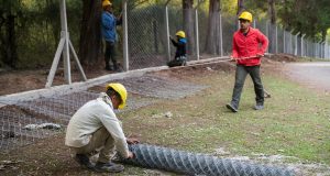 La Municipalidad de Paraná suma seguridad, servicios y comodidades en el Complejo Toma Vieja